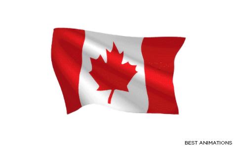 USA_240-animated-flag-gifs.gif