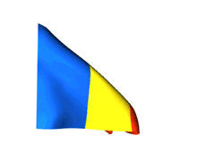 Turkey_240-animated-flag-gifs.gif
